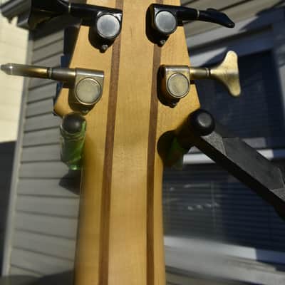 Agile Brice 6 string bass Vintage toned image 6