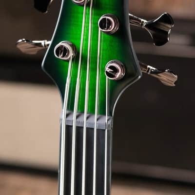 Ibanez Steve Di Giorgio Signature SDGB1-DMT 5-String Fretless Electric Bass - Dark Moss Burst image 5