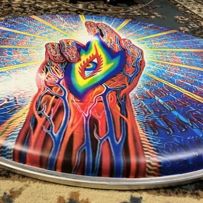 Remo 22” TOOL Danny Carey THE THIRD EYE 👁️ Bass Drum Head image 5