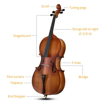 Cxxss Full Side 4/4 Matte Natural Color Spruce Panel Cello with Bag Bow Rosin Bridge Strings image 5
