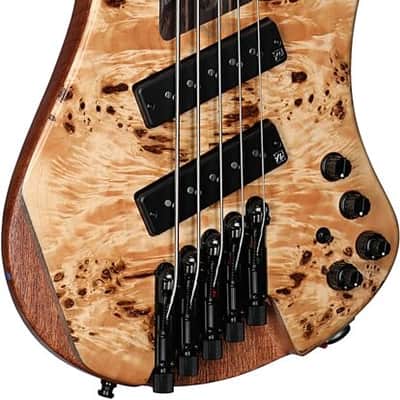 Ibanez EHB1505 SMSFNL 5 String Headless Electric Bass. Florid Natural Low Gloss with Bag image 2