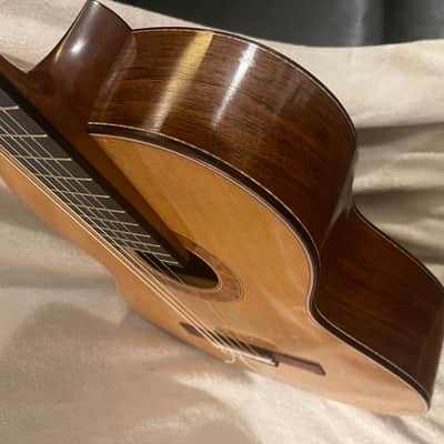 Shadowfax (Matt Jacobs) Concert Classical Guitar 2015 - Cedar/Rosewood image 11