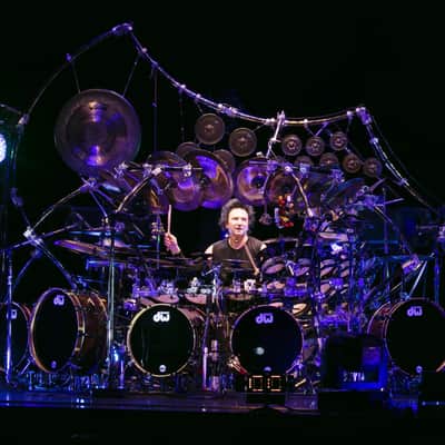 Terry Bozzio's DW 2000s - 2.5x8" Collector's Maple Piccolo Tom - "Bb/A#" Autographed! Transparent Dark Walnut Satin image 12