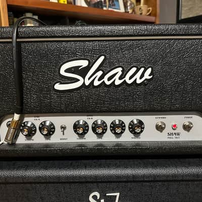 Shaw Audio Full Tilt 30 with FX Loop (factory) and Flight Case image 1