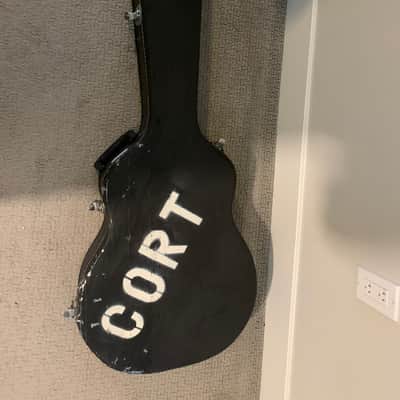 Cort Triggs TRG-1 Hollowbody image 6