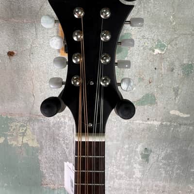 The Loar LM-310F-BRB Honey Creek F-style Mandolin - Satin Brownburst #0734 image 7