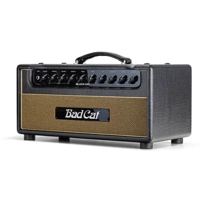 Bad Cat Black Cat Guitar Amplifier Head (20 Watts), Open Box (Like New) image 3