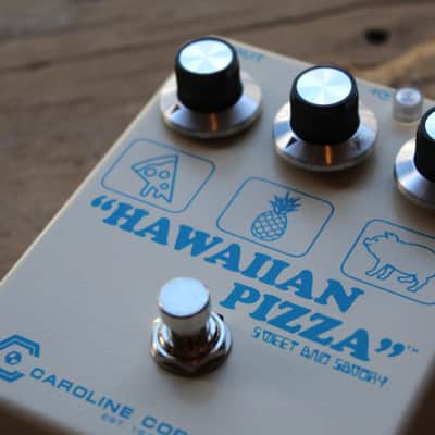 CAROLINE  "Hawaiian Pizza Fuzz" image 12