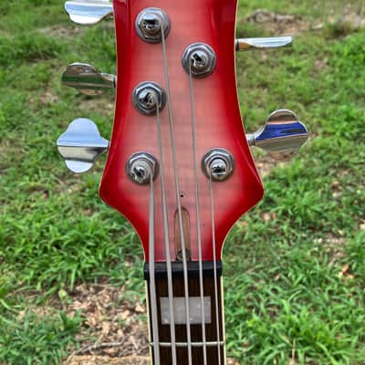 Schecter Stargazer 5 String Bass Crimson Ghost 2009 - Crimson Ghost image 3