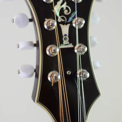 Kentucky KM805 Artist-F Vintage Amber Burst image 12