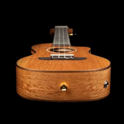 Ortega RUMG-CE Horizon Series Mango Top Okoume Neck Acoustic-Electric Concert Ukulele w/Gig Bag & Built-In Tuner image 8