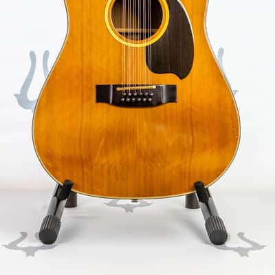 Daion MUGEN Mark I / 12 String w/ Factory Transducer Pickup image 1