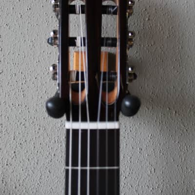 Brand New Cordoba Fusion 14 Maple Nylon String Acoustic/Electric Classical Guitar image 2