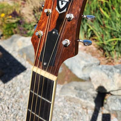 Gorgeous Guild CV-2 Maple and Spruce Guitar CV-2 Maple and Spruce 2007 image 2