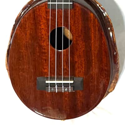 Turtle Shell Tenor Ukulele image 3