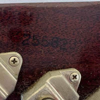 Gibson Firebird V 1965 - Beautiful original vintage image 6