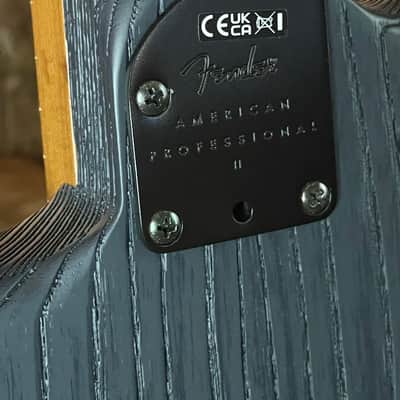 Fender American Professional II HSS Hardtail - Smoke - Sandblasted - NEW - 3,117 kg ! image 11