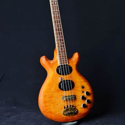 Oasis Bass by Gary Cooper from Alembic 1977-1983 Amber image 2