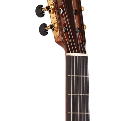Cordoba C12 Nylon String Nylon Acoustic Guitar With Case image 4