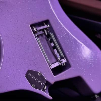 Strandberg Guitars Classic 6 w/ flame maple neck - Lilac Sparkle Gloss image 13
