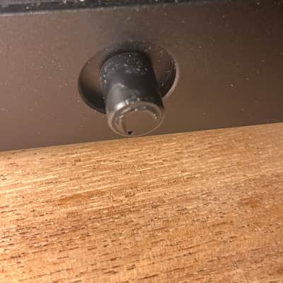 Steinway & Sons Processor SP-1 - Black image 13