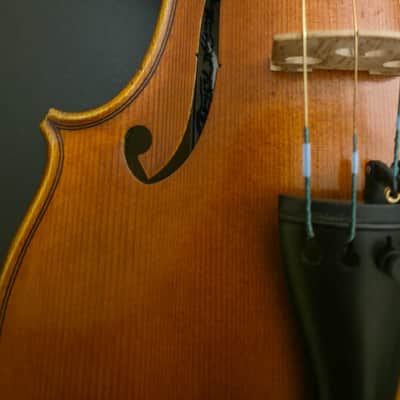 Early 20th century central european violin – labelled Giuseppe Pedrazzini – 350 mm LOB image 3