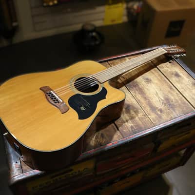 Richwood D-4012CE 2000´s - Natural image 1