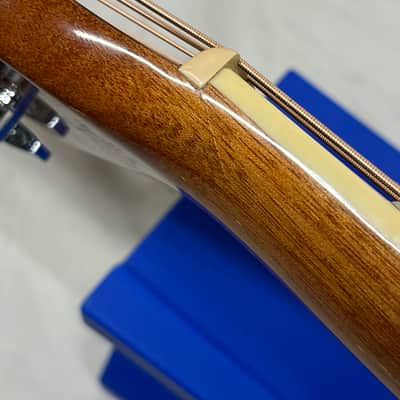 Ibanez EW20ZWE-NT1203 Acoustic Electric Guitar image 24