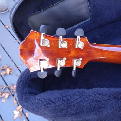 Mr Wu  Custom Jazz Guitar, Yunzi/Eastman image 10