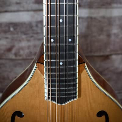 2022 Bourgeois Mandolin Model A image 13
