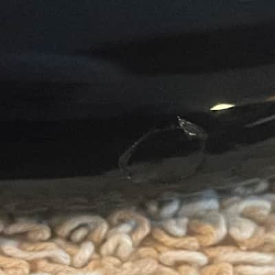 Squier Vintage Modified '77 Jazz Bass 2011 - 2018 - Black image 20