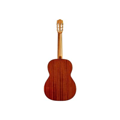 Cordoba C5 6-String Classical Acoustic Guitar (Natural) image 2