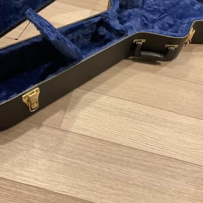 Ibanez AEG10C Hardshell Case for AEG Guitars 2010s - Black image 4