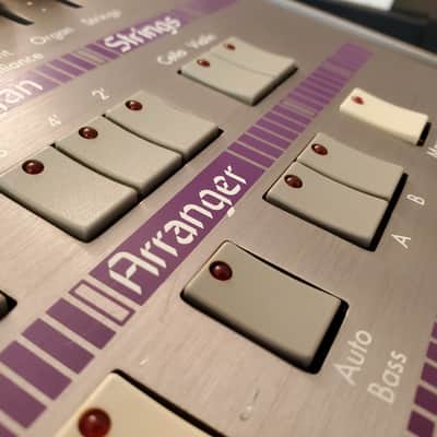 SOLTON KETRON PROGRAMMER 24S ULTRA RARE VINTAGE SYNTHESIZER FULLY SERVICED IN AMAZING CONDITION! image 15