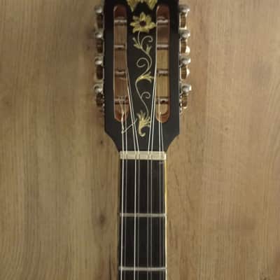 Greek Bouzouki & hardcase & pickup & 300 backing track with pdf scores 8 string image 6