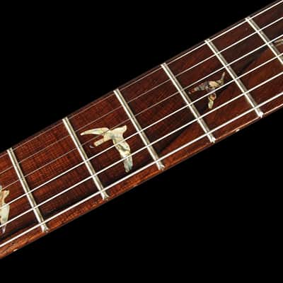 2007 / 2013 Paul Reed Smith PRS Custom 24 Artist Package Brazilian Tortoise Shell image 6