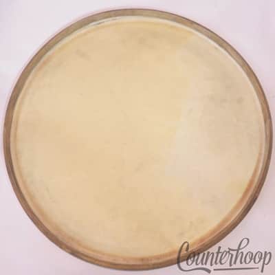 *Lyon&Healy 13" Calf Skin Tom/Snare Drum Head Calfskin Batter Amrawco Standard* image 3