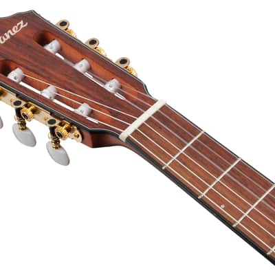 Ibanez FRH10N Acoustic Electric Nylon Guitar Rose Gold Metallic image 9