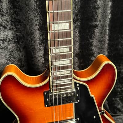 Immagine D'Angelico Premier DC Dark Iced Tea Burst With Free Gig Bag - 6