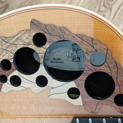 Ovation MC868-4 Mandocello image 5