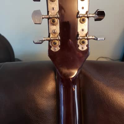Cort Single Cutaway 1984-1986 Spalted Maple image 8