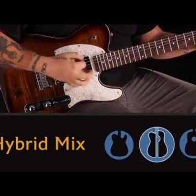 Michael Kelly Hybrid 55 Electric Guitar with Fishman Powerbridge image 8