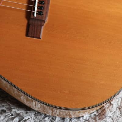 Rare Vintage JAPAN made Washburn D30S 1995 Cedar + Birdseye Maple + Pro Setup image 5