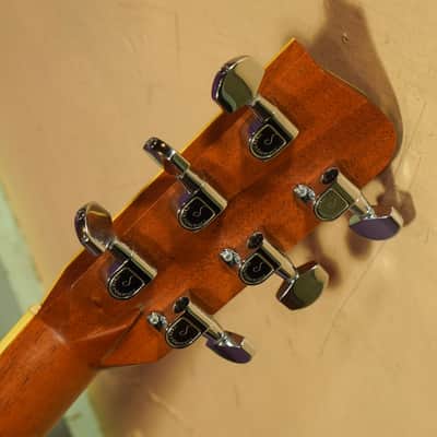 2008 Gallagher G-70M 12-Fret Madagascar Rosewood Dreadnought Guitar (VIDEO! Ready to Go) image 11