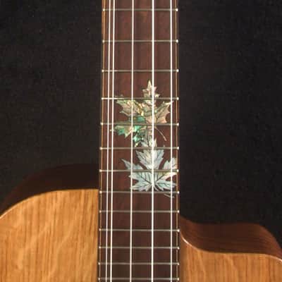 Handcrafted Gypsy Baritone Ukulele, ArchBack, 5 String, Solid Curly Ash, Mahogany & Walnut, Maple Leaf Inlay, Bruce Wei GUT19-001 image 8