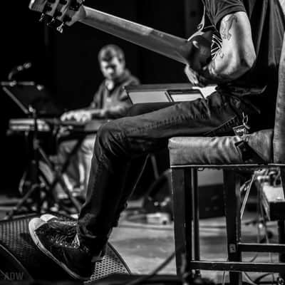 Fodera Emperor II (Felix Pastorius) 2012 Natural image 10