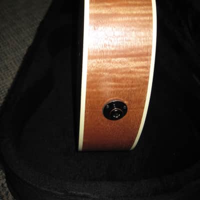 Islander By Kanile'a Fretless Bass Ukulele Pako-M-Fretless image 8