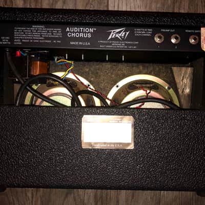 Peavey Audition Chorus image 4