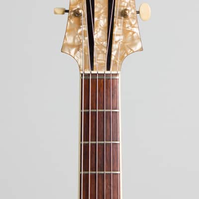 Isana Black Pearl Arch Top Acoustic Guitar (1959), molded fiberglass hard shell case. image 7
