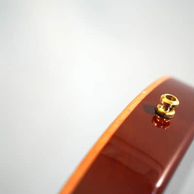 Ruokangas Guitars Mojo Grande 2007 Cognac image 10